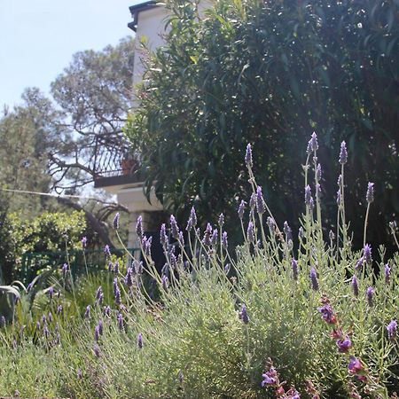 Cappelli Apartments - Losinj Mali Lošinj Kültér fotó
